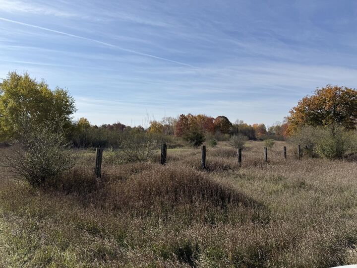 Property Photo: 10319 7 Mile Road MI 49346