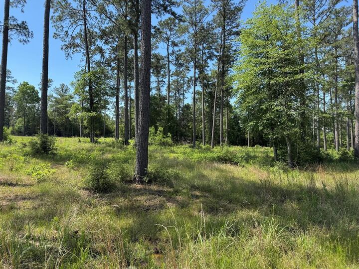 Property Photo: Lot 009 Private Rd 6028 TX 75931