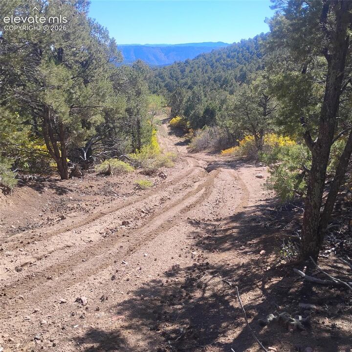 Property Photo: 468 Rye Whiskey Trail CO 81212