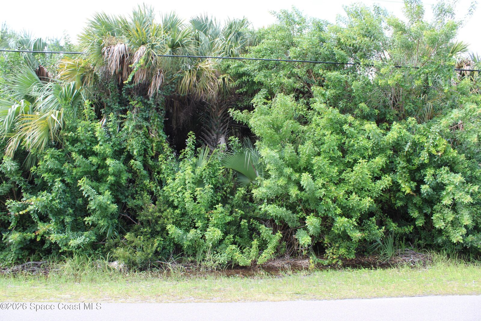 Property Photo: 3138 Framingham Avenue SW FL 32908