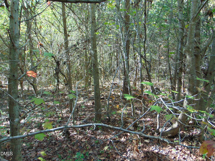 Property Photo:  Lot 10 Bill Smith Road  NC 27315 