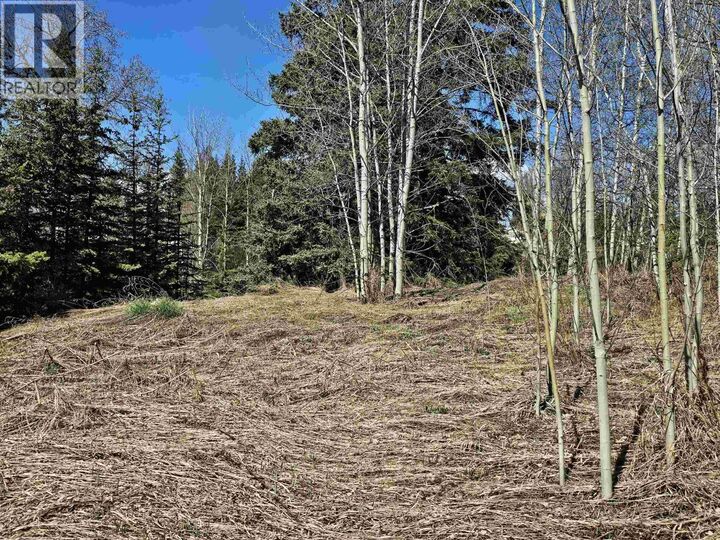 Property Photo:  101 5th Avenue  BC V0J 1E2 