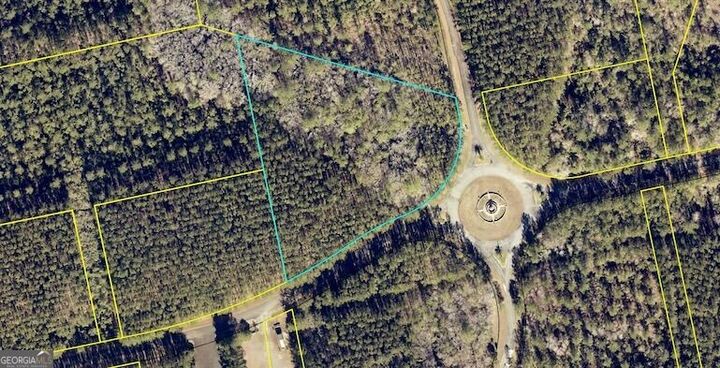 Property Photo:  0 La Vento Lane  GA 31565 