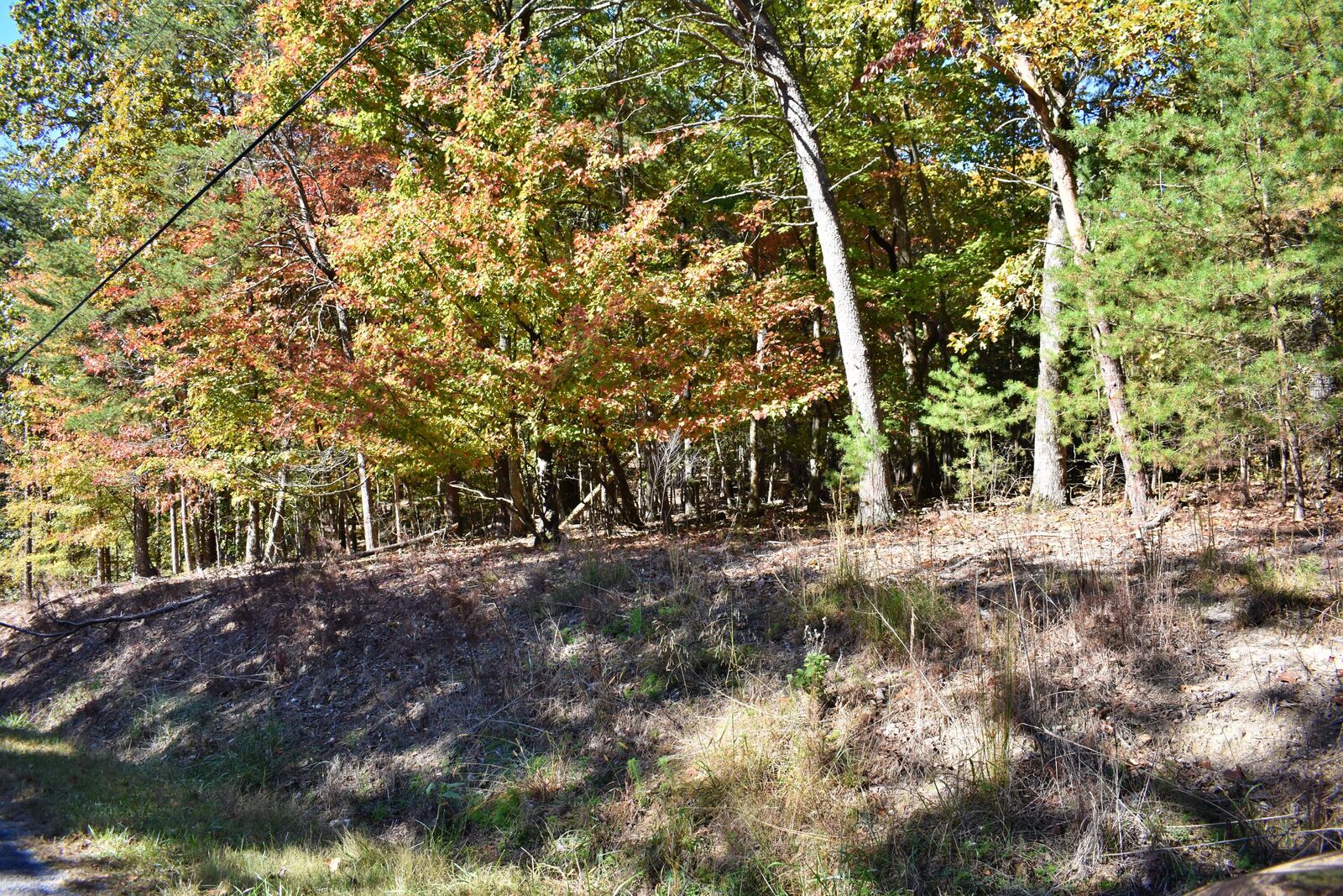 Property Photo: 0 Lake Forest Drive TN 37381