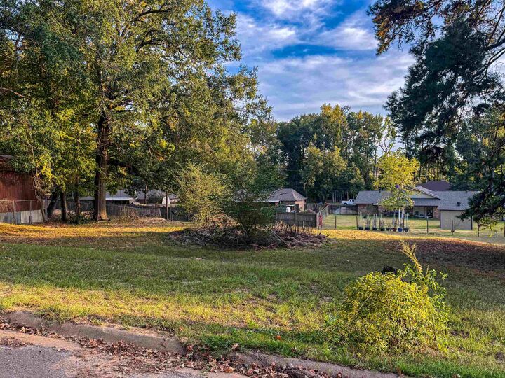 Property Photo: Tbd Patricia Dr TX 75684