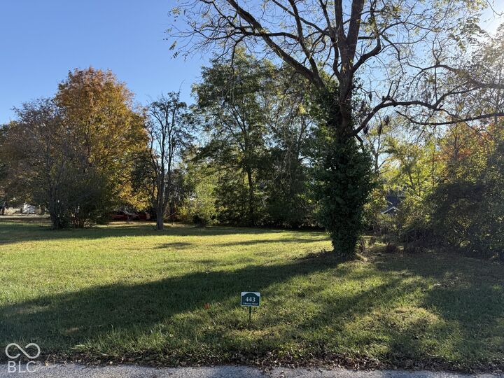 Property Photo:  443 S Bowers Street  IN 46075 