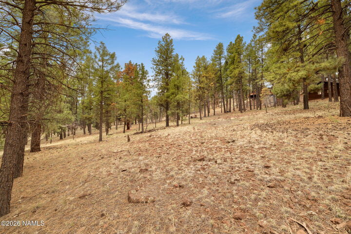 Property Photo:  7804 E Long Bow Drive  AZ 86046 