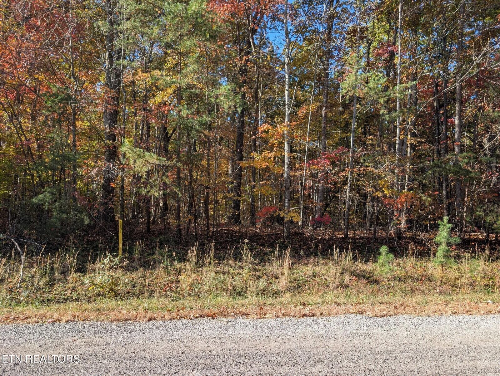 Property Photo:  Tanner Drive - Lot 6  TN 38574 