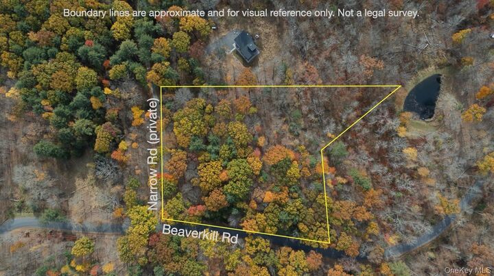 Property Photo:  149 Beaverkill Road  NY 12401 