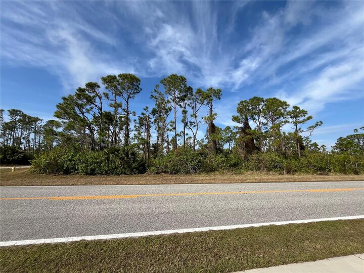 Property Photo:  14767 San Domingo Boulevard  FL 33981 
