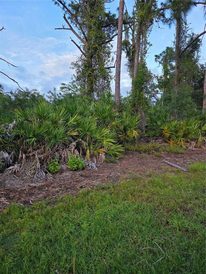 Property Photo: 13488 Drysdale Avenue FL 33981