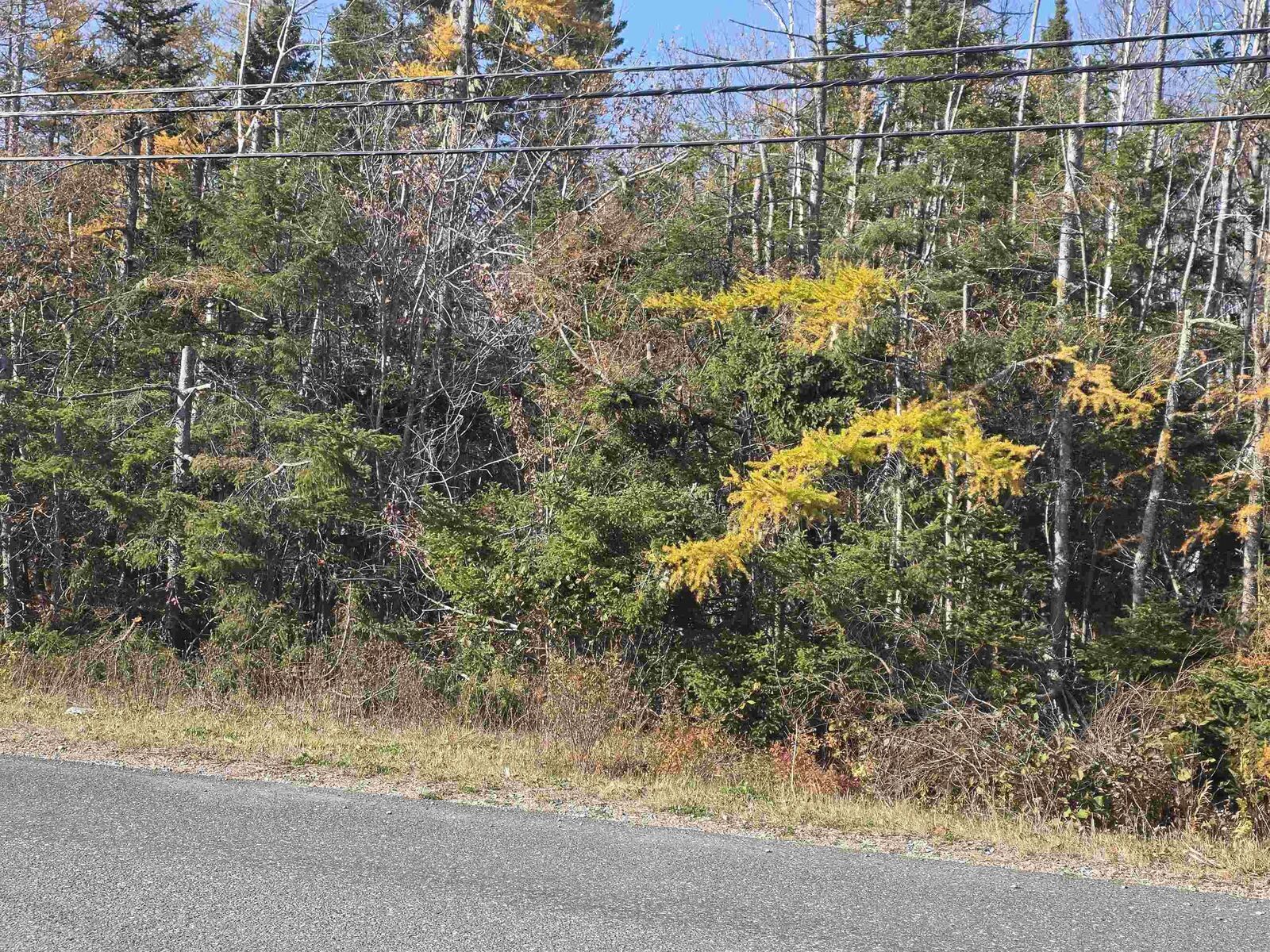Property Photo:  Hillside Road  NS B1K 3J5 