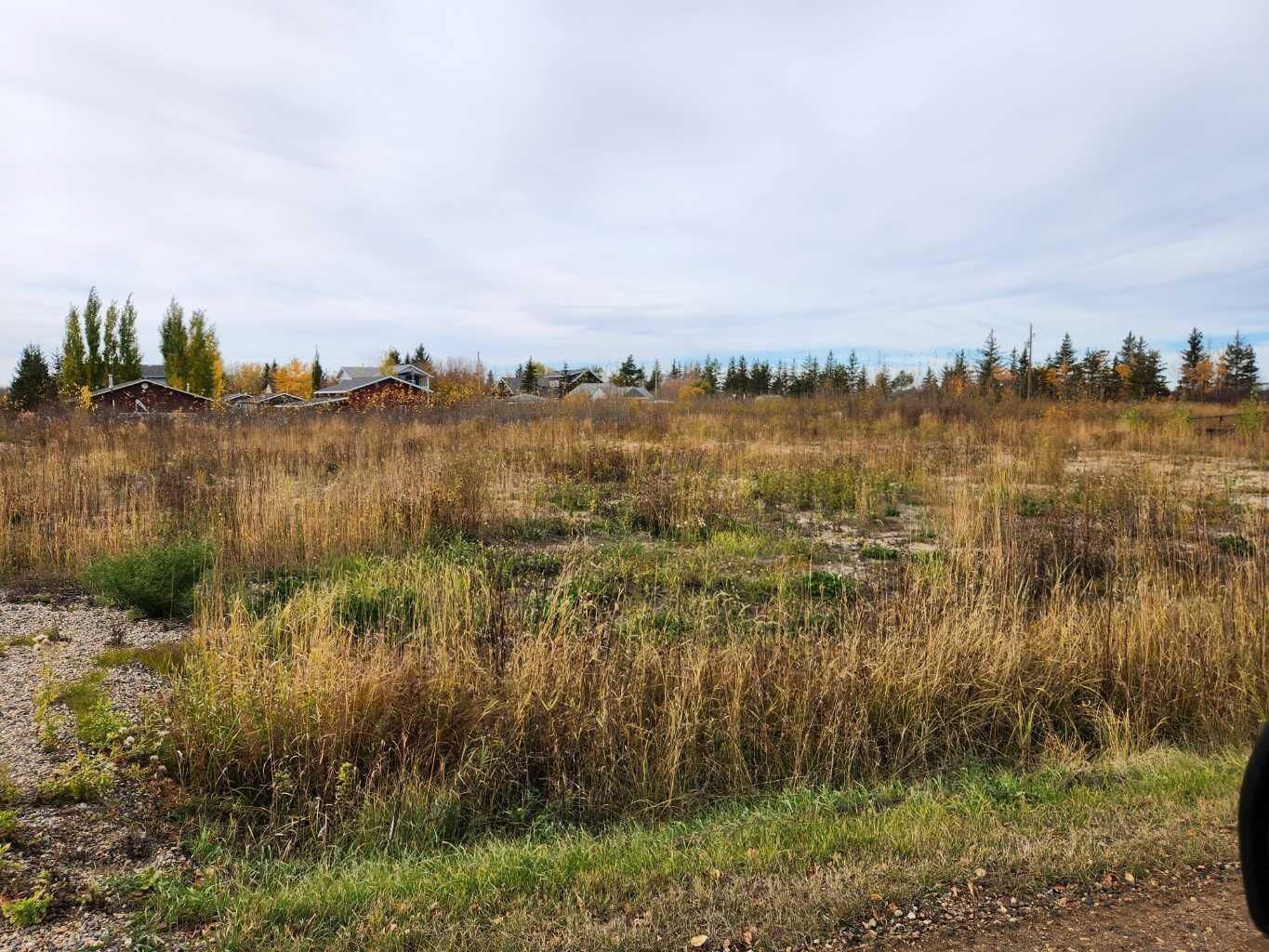 Property Photo:  703 Willow Bay  SK S9V 2T0 