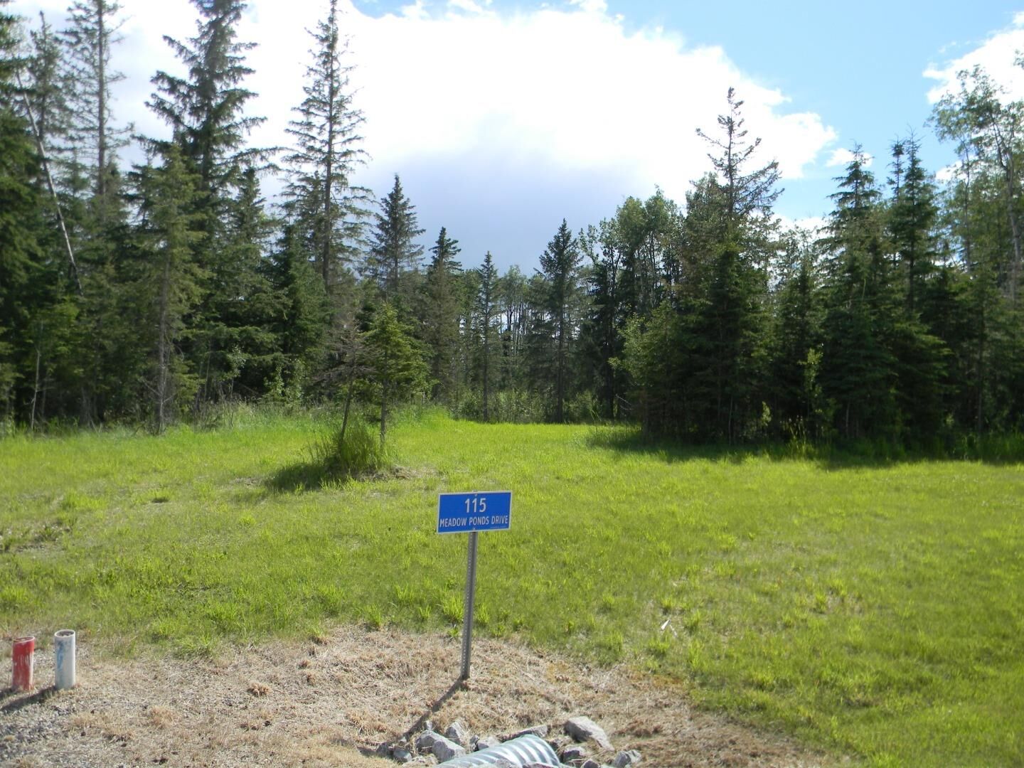Property Photo:  115 Meadow Ponds Drive  AB T4T 2A2 