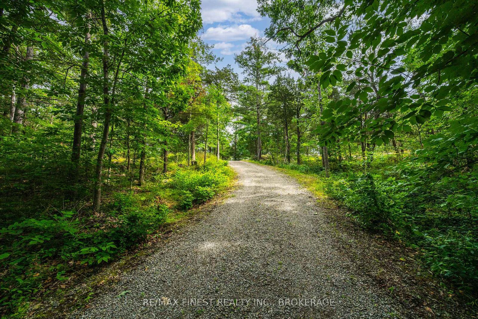 Property Photo:  169 Old River Road  ON K0E 1R0 