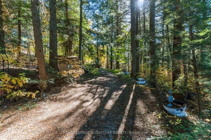 Property Photo: 1316 Mannies Trail ON K0M 1S0
