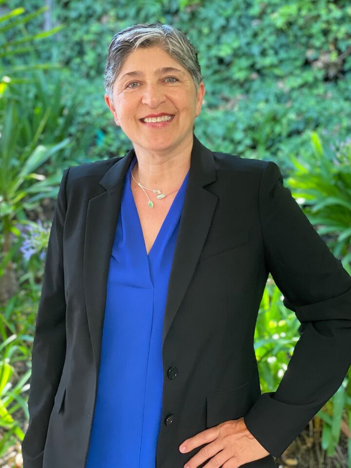 Roya Zaman, Time Share in San Francisco, Icon Properties
