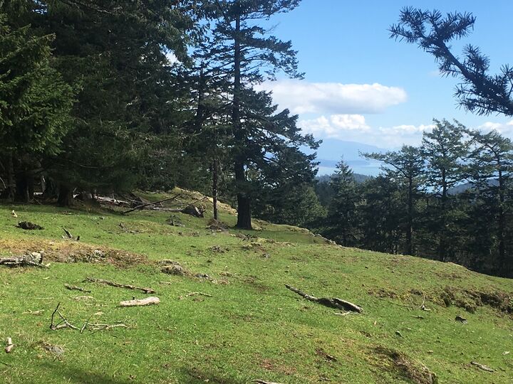 8 Decatur Highlands  Decatur Island WA 98221 photo