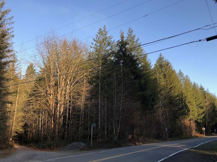 Lot 3 SE Mt Si Road  North Bend WA 98045 photo