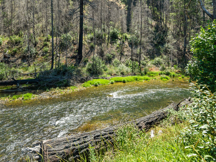 Property Photo: 91403 Marbrook Ln OR 97413