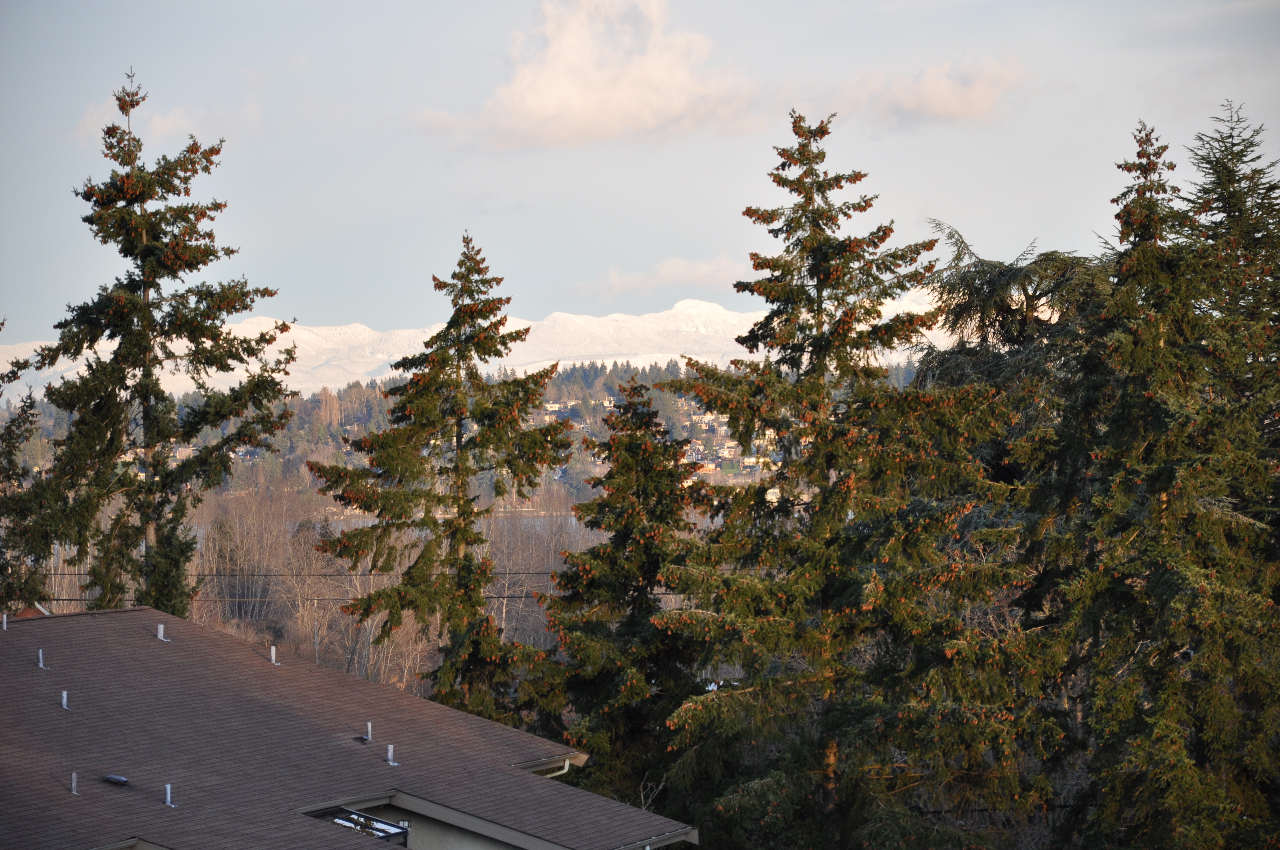 Property Photo: 6704 Park Point Wy NE E-401 WA 98115