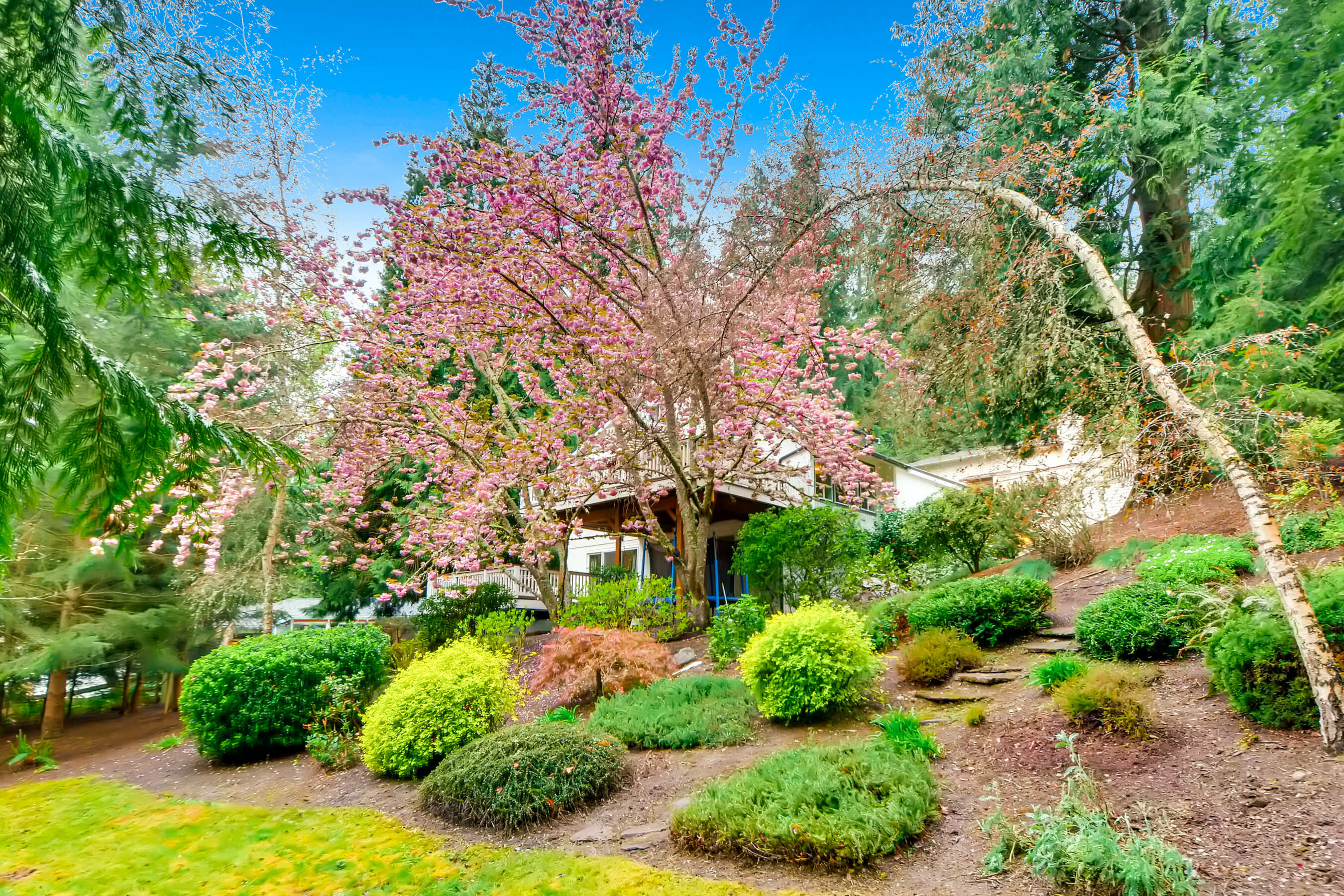 Property Photo: 1505 207th Place NE WA 98074