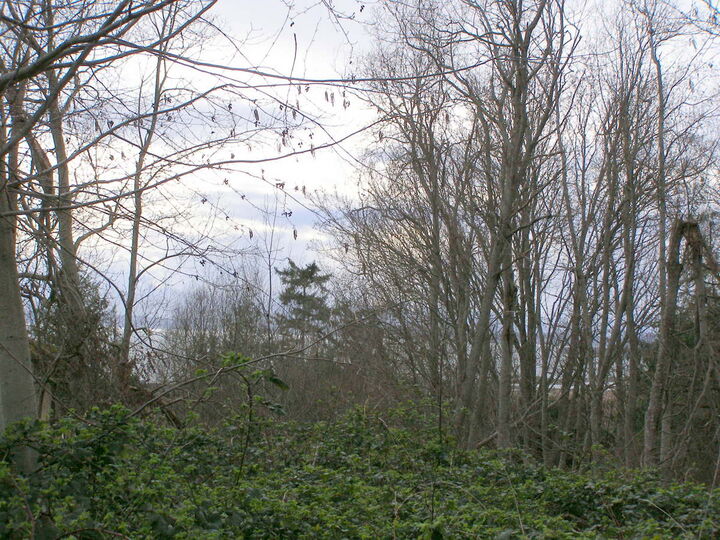 Property Photo: Exteriors 0 Nimitz Drive WA 98239